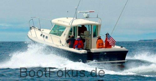 Albin 31 technische daten 